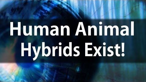Sid Roth - Human Animal Hybrids Exist