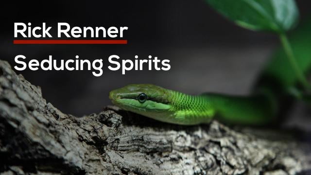 Rick Renner - Seducing Spirits
