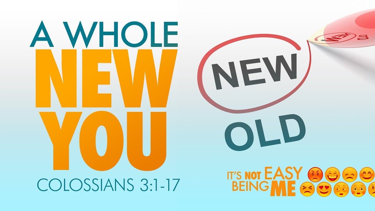 Jeff Schreve - A Whole New You