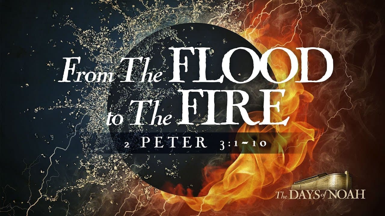 Jeff Schreve - From the Flood to the Fire
