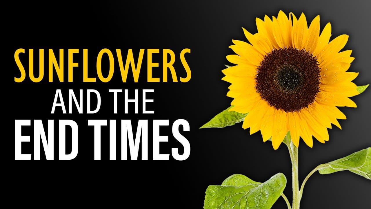 Sid Roth - The End Time Sunflower Prophecy