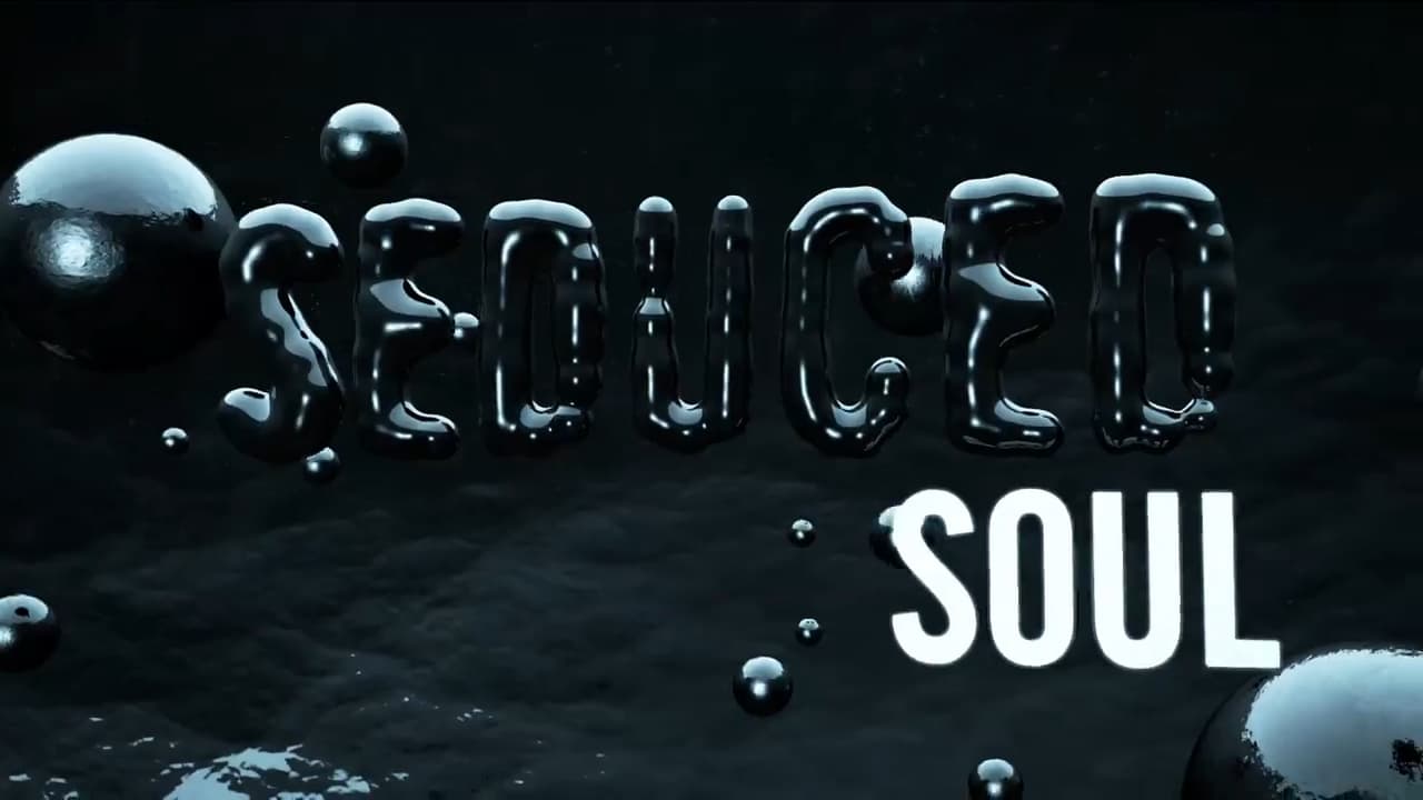 Craig Groeschel - The Seduced Soul