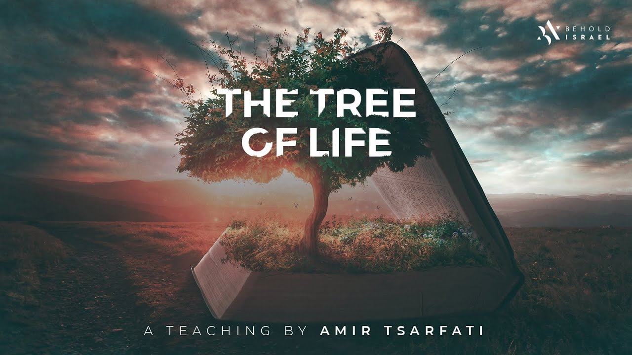 Amir Tsarfati - The Tree of Life