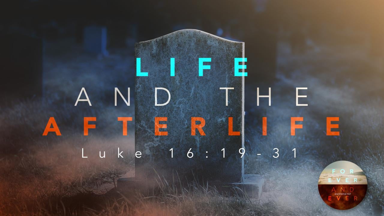 Jeff Schreve - Life and the Afterlife