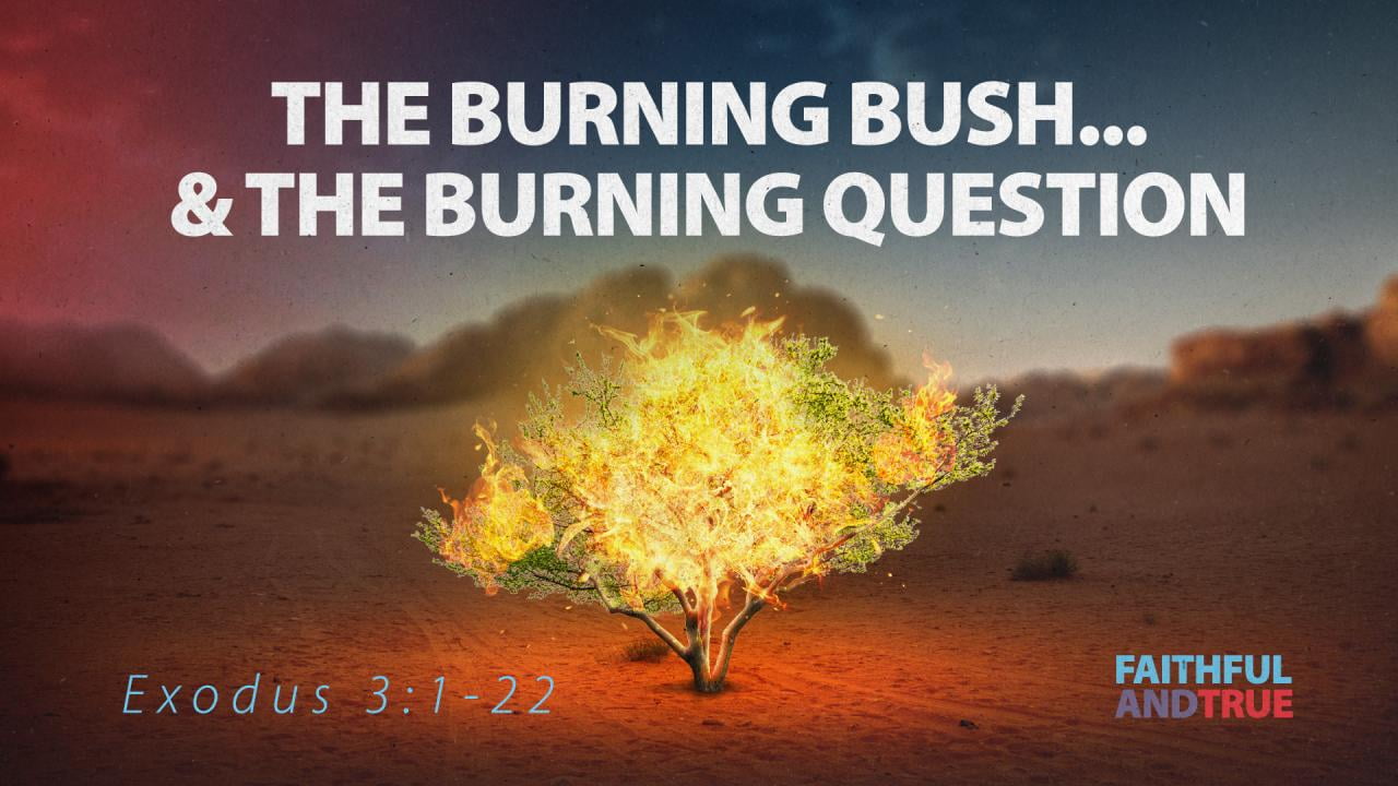 Jeff Schreve - The Burning Bush and the Burning Question