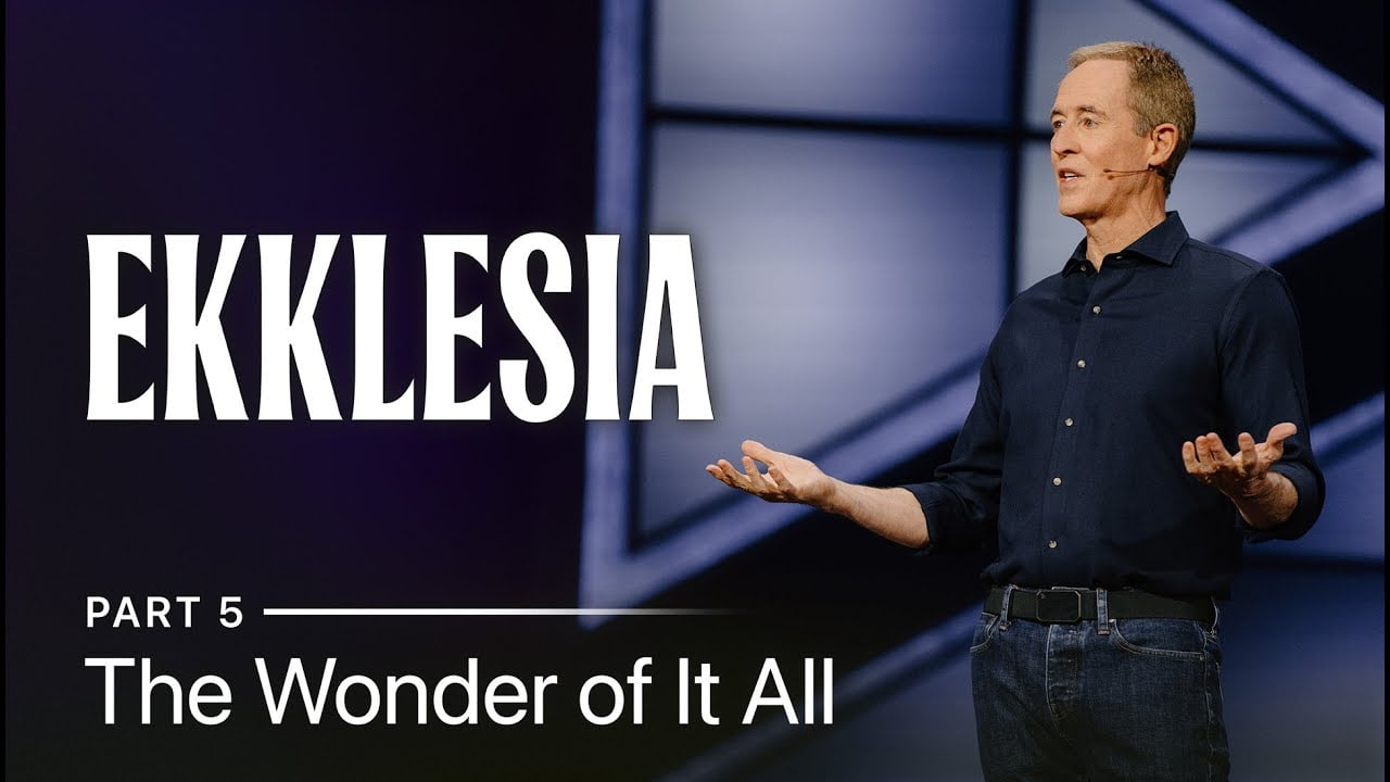 Andy Stanley - The Wonder of It All