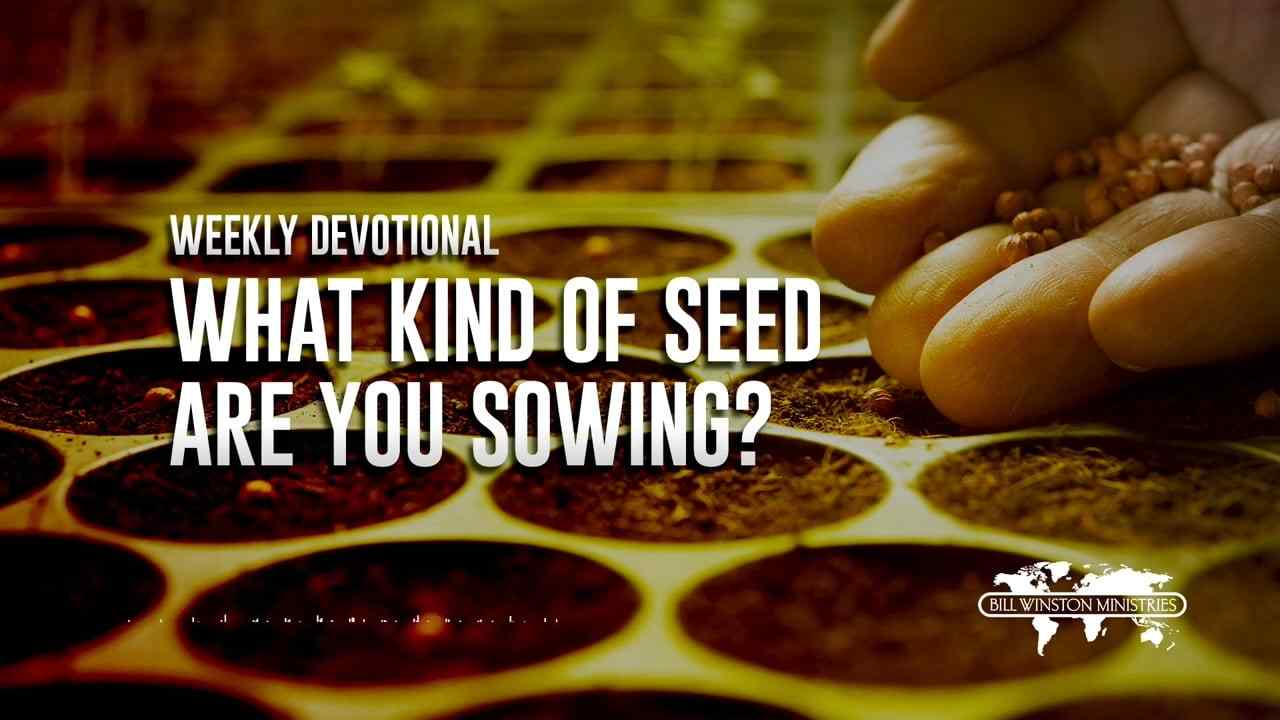 Bill Winston - What Kind of Seed Are You Sowing?