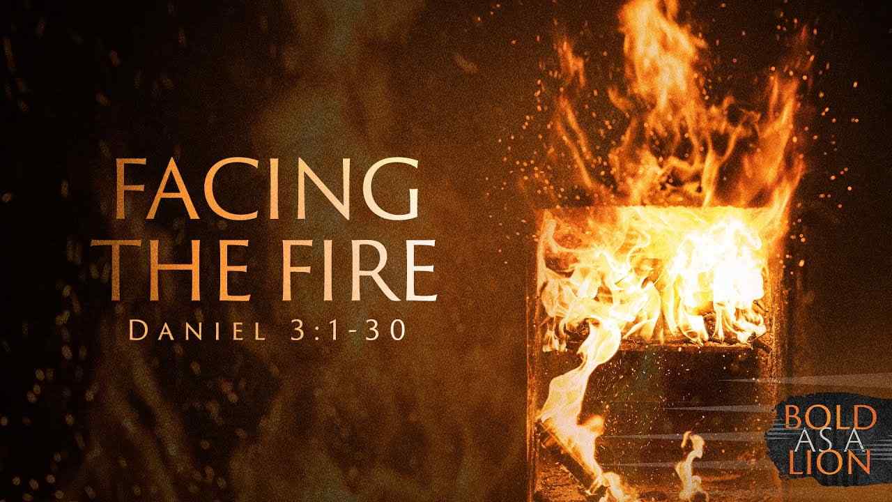 Jeff Schreve - Facing the Fire