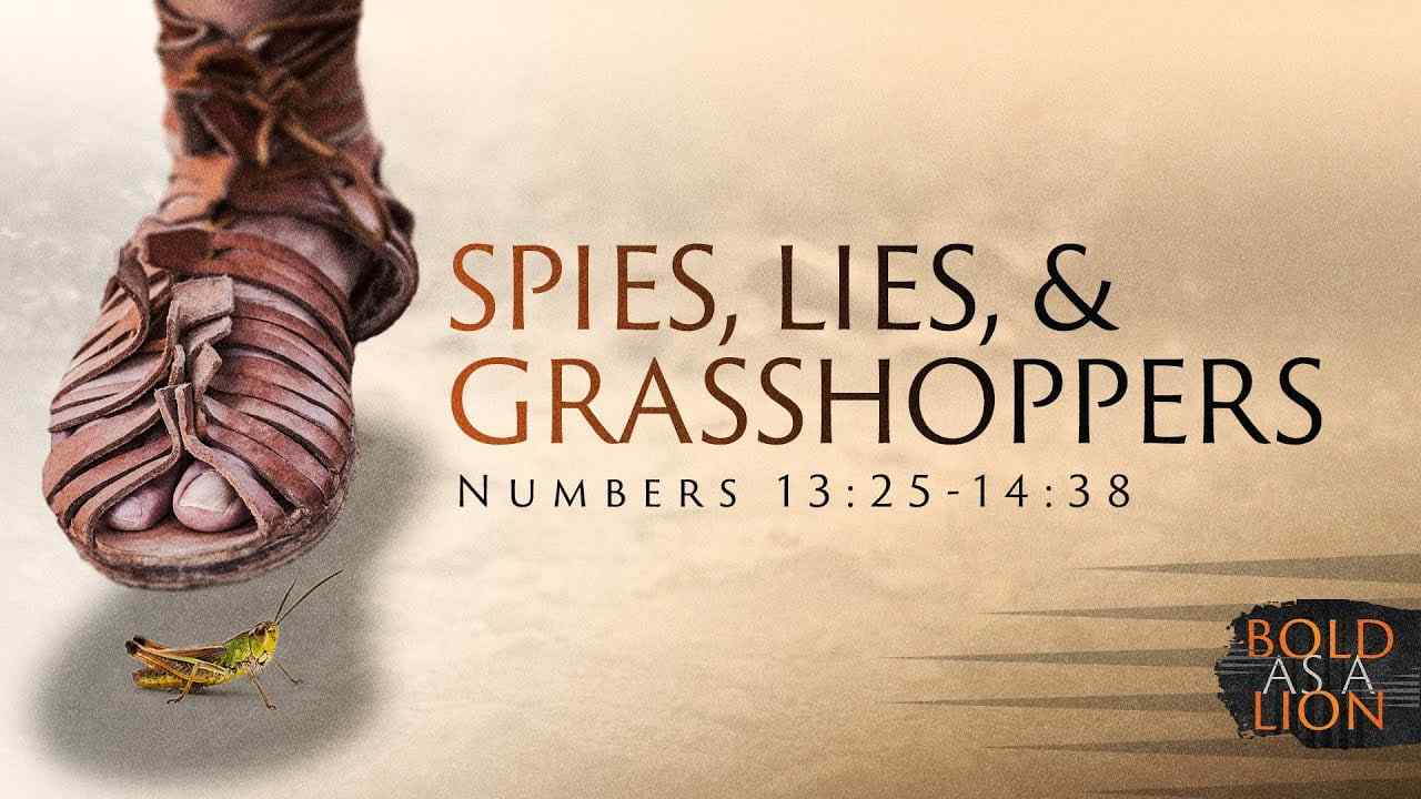 Jeff Schreve - Spies, Lies, and Grasshoppers