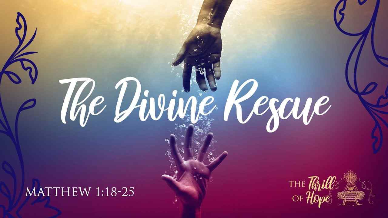 Jeff Schreve - The Divine Rescue