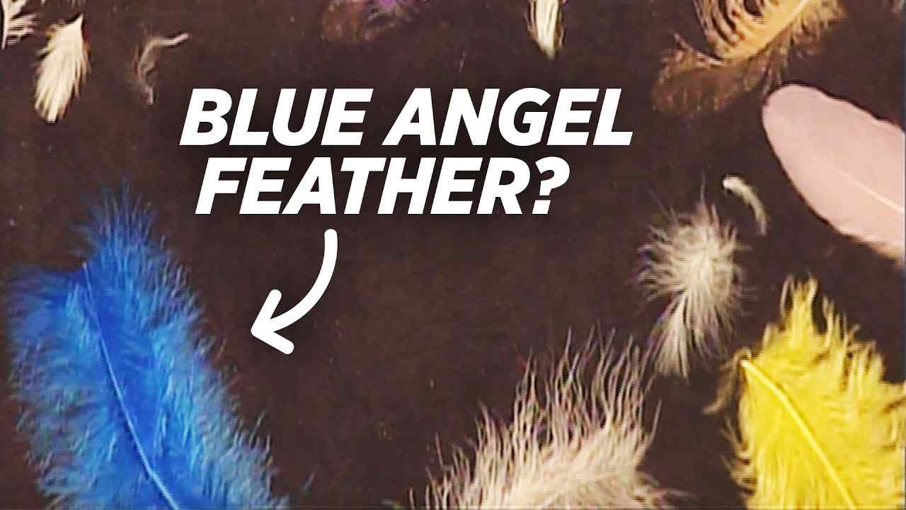 Sid Roth - First, Angel Feathers Appear. Then This Happens