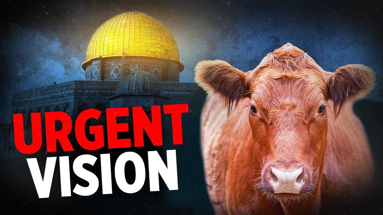 Sid Roth - I Saw Israel's Shaking and the Red Heifer