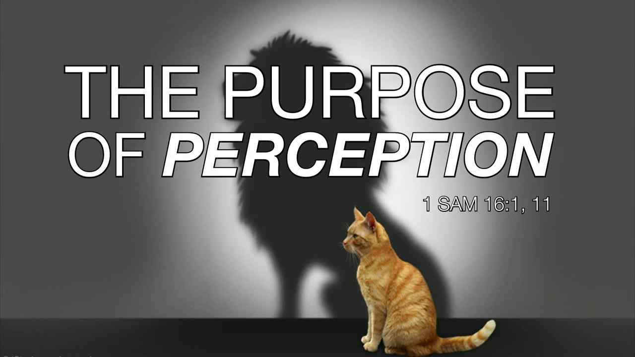 Keion Henderson - The Purpose of Perception