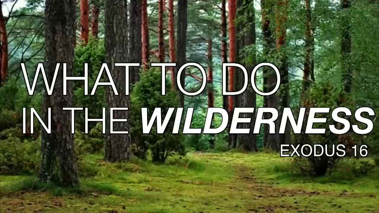 Keion Henderson - What to do in the Wilderness