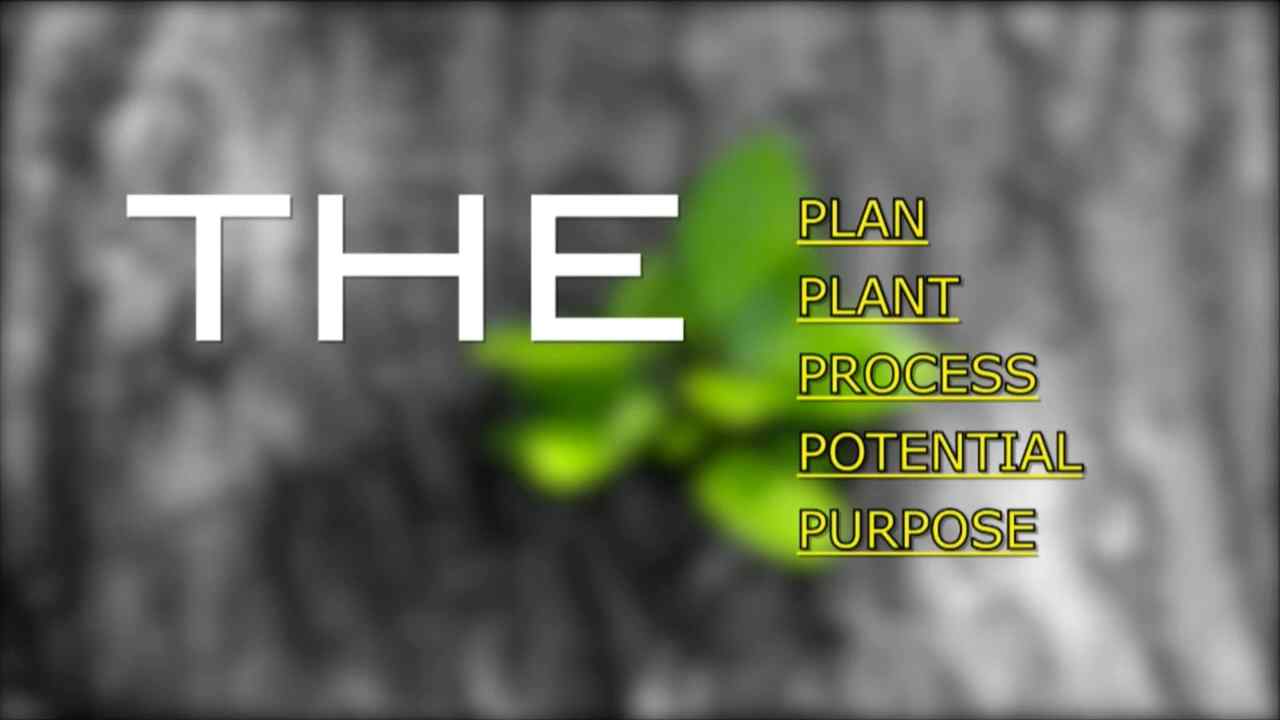 Keith Battle - What God Can Do With A Seed